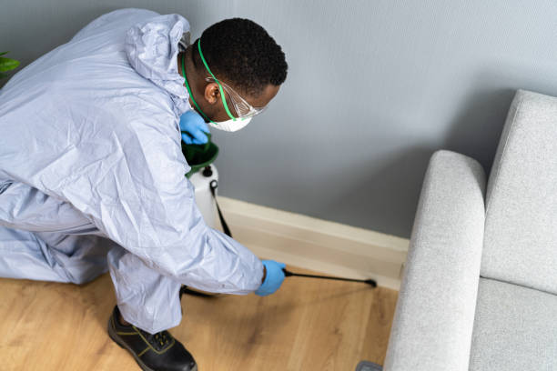 Professional Pest Control in Vista Center, NJ